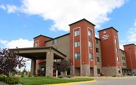 Best Western Plus Omaha Airport Inn Refreshed Rooms 2026